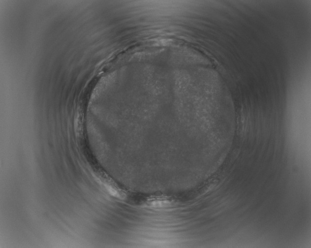 X0000076450228200611031939
