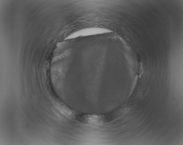 X0000076450229200611031939