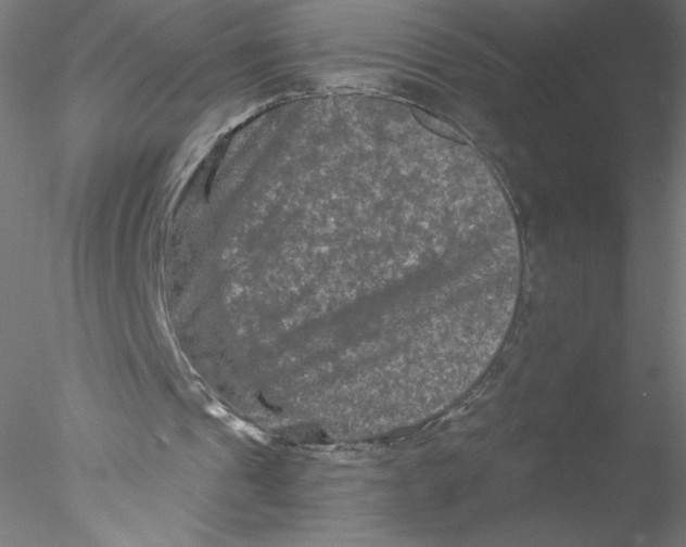 X0000076450241200611031938