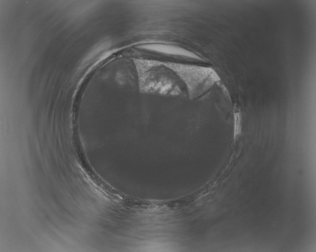 X0000076450243200611031938
