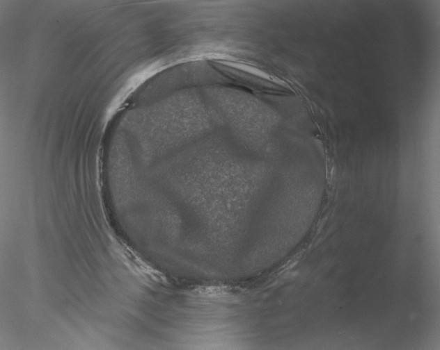 X0000076450244200611031938