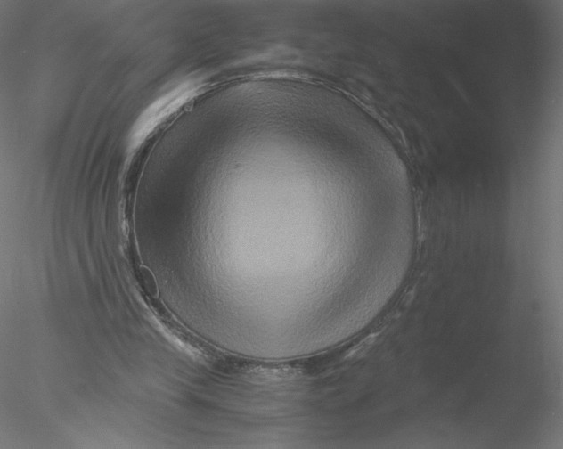 X0000076450245200611031938