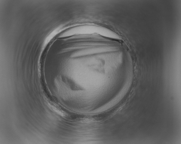 X0000076450246200611031938