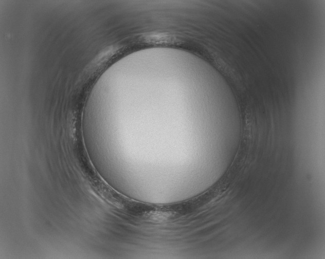 X0000076450255200611031939