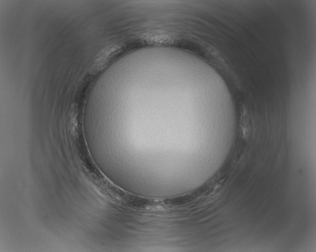 X0000076450259200611031939