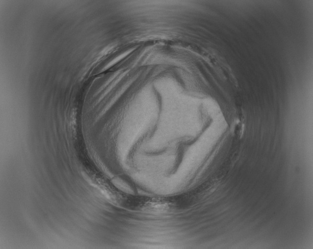 X0000076450260200611031939