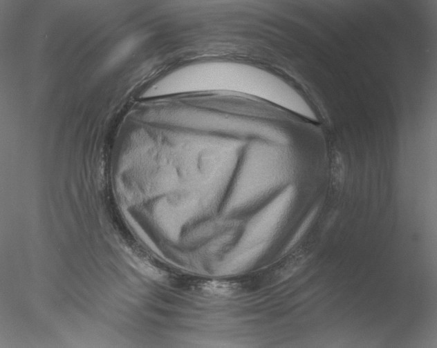 X0000076450261200611031939