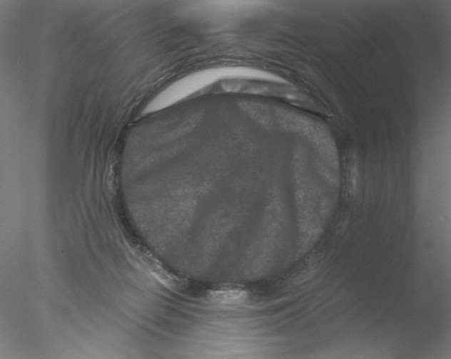 X0000076450266200611031939