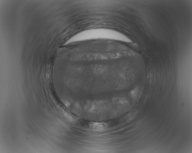 X0000076450277200611031939