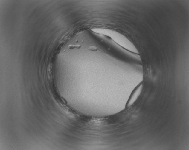 X0000076450280200611031939
