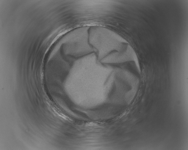 X0000076450290200611031938