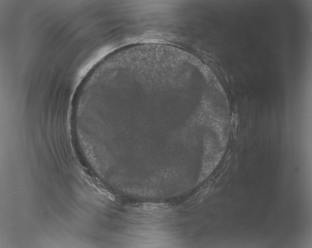 X0000076450292200611031938