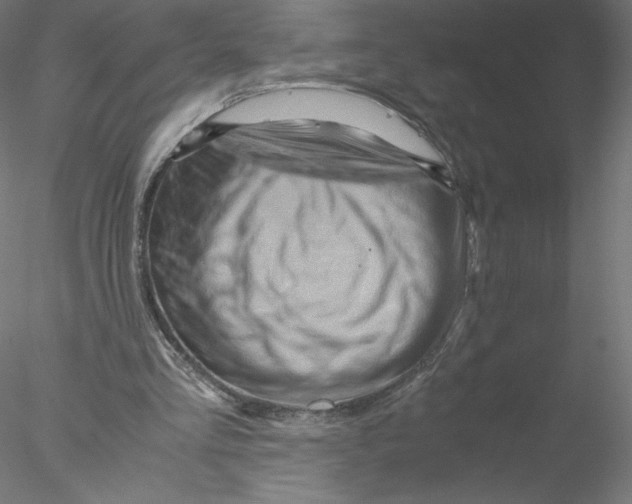 X0000076450293200611031938