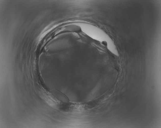 X0000076450295200611031938