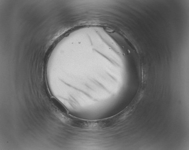 X0000076450301200611031938