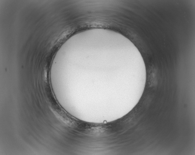 X0000076450310200611031938