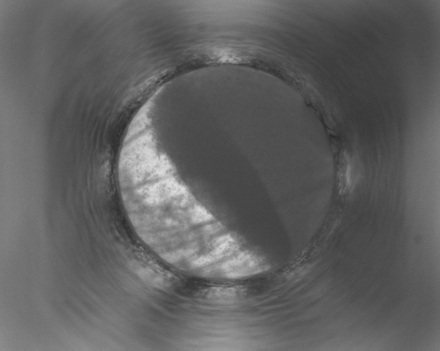 X0000076450314200611031938