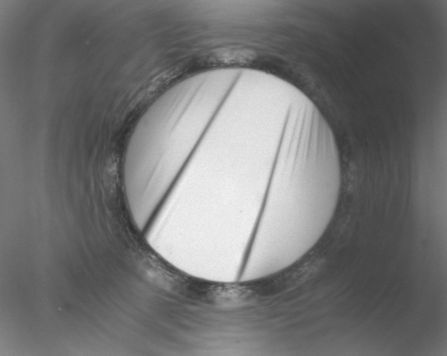 X0000076450321200611031938