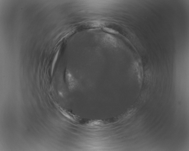 X0000076450325200611031938