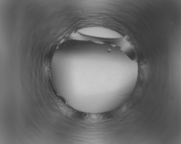 X0000076450329200611031938