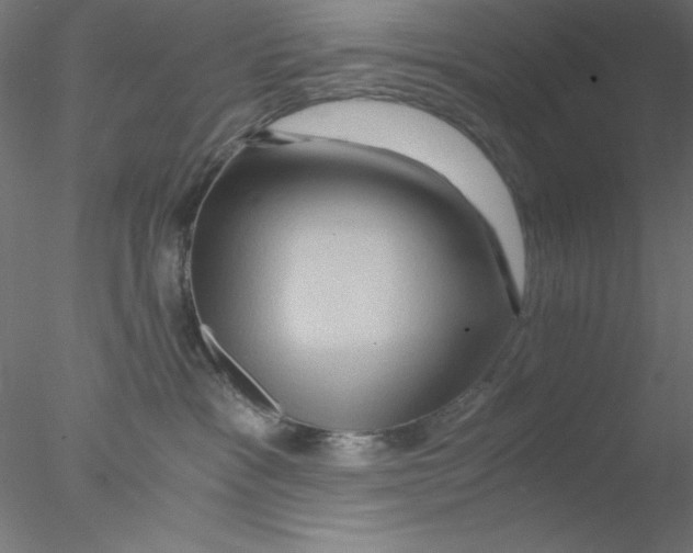 X0000076450333200611031938