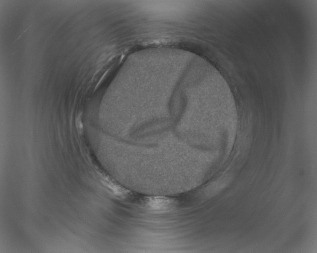 X0000076450336200611031938