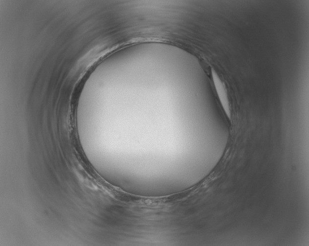 X0000076450338200611031937