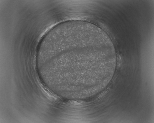 X0000076450346200611031937
