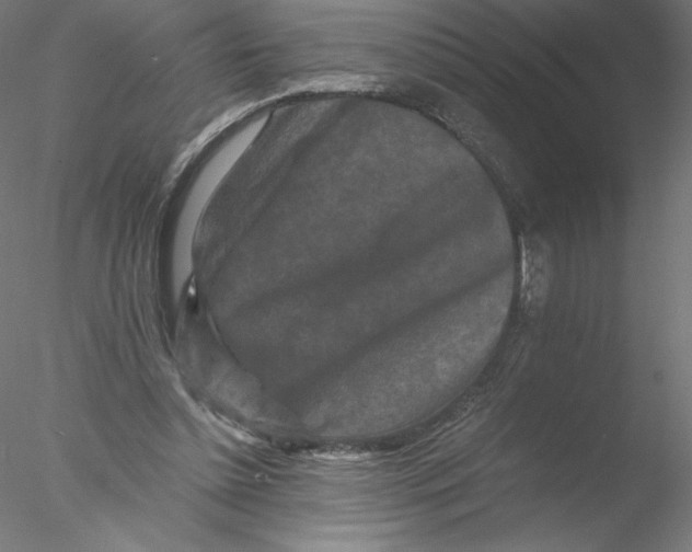 X0000076450348200611031937