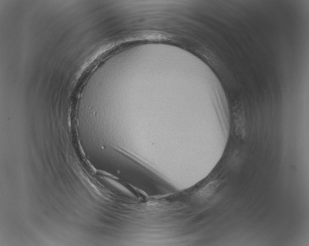 X0000076450350200611031937