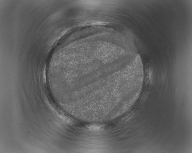 X0000076450358200611031937