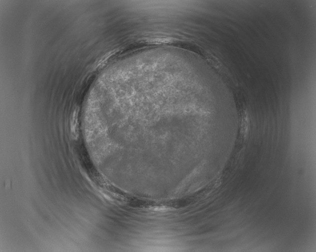 X0000076450360200611031937
