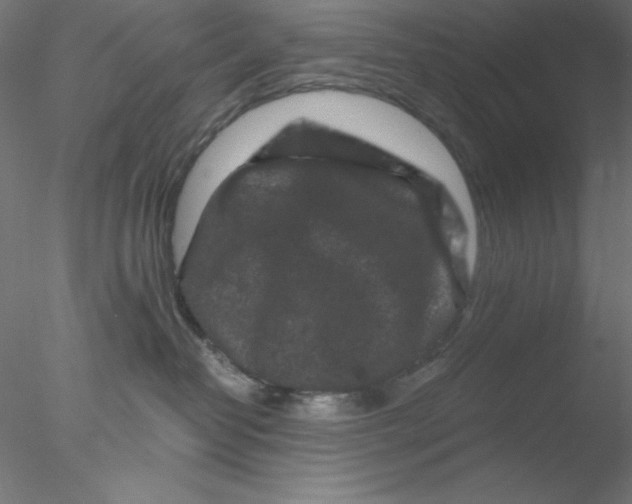 X0000076450382200611031937