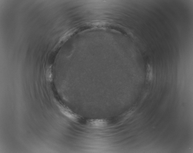 X0000076450383200611031938