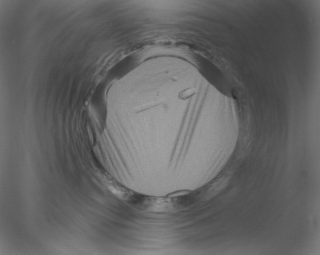 X0000076450384200611031938
