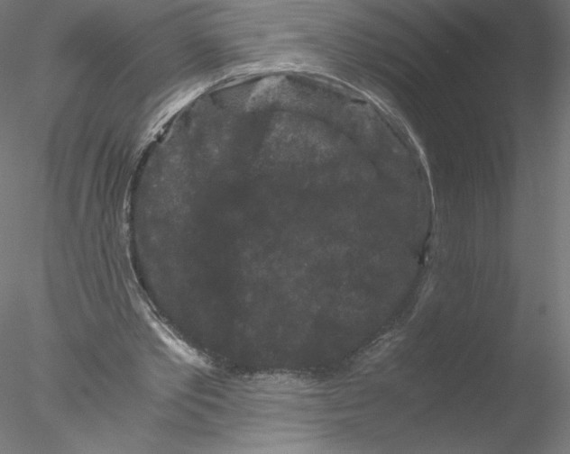 X0000076450389200611031937
