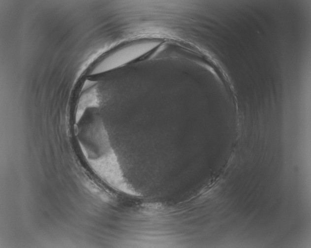 X0000076450391200611031937