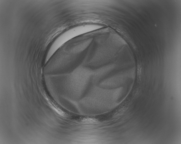X0000076450397200611031937