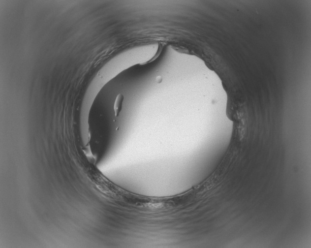 X0000076450406200611031936