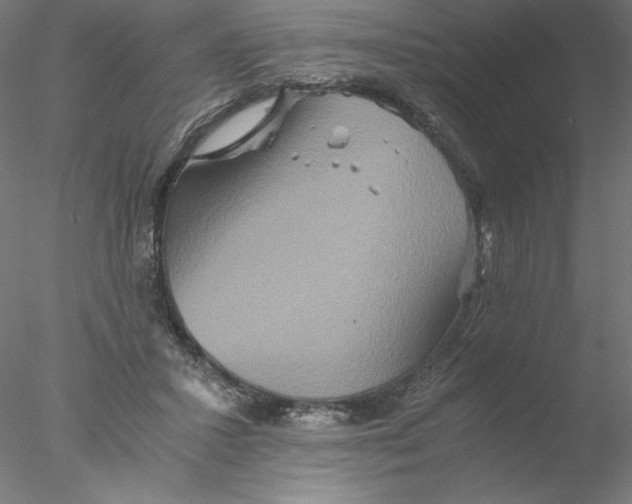 X0000076450407200611031936