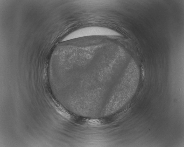 X0000076450409200611031936