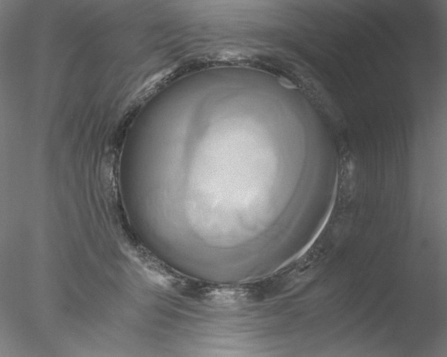 X0000076450415200611031936