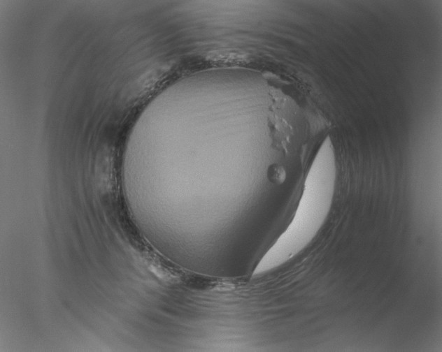 X0000076450416200611031936