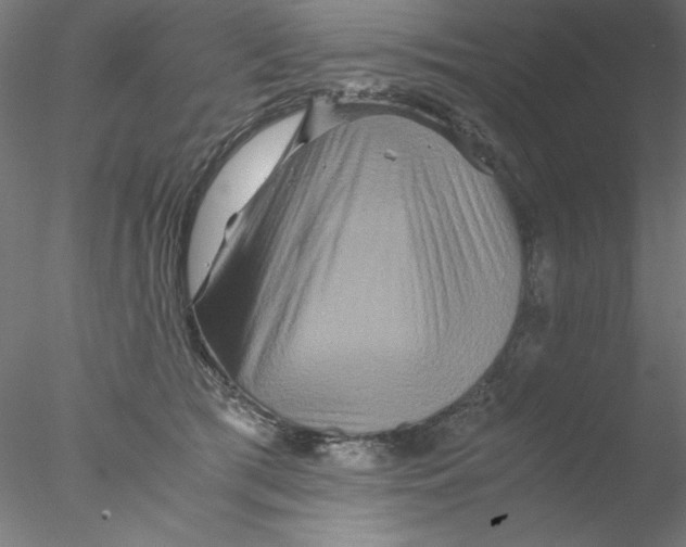 X0000076450417200611031936