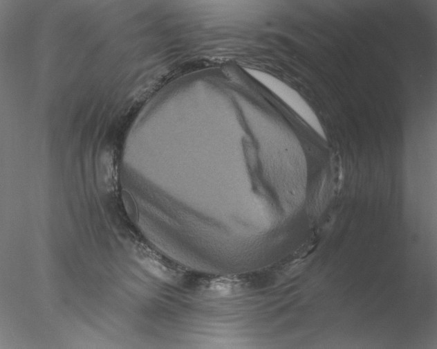 X0000076450420200611031936