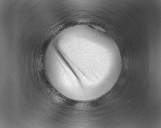 X0000076450422200611031936