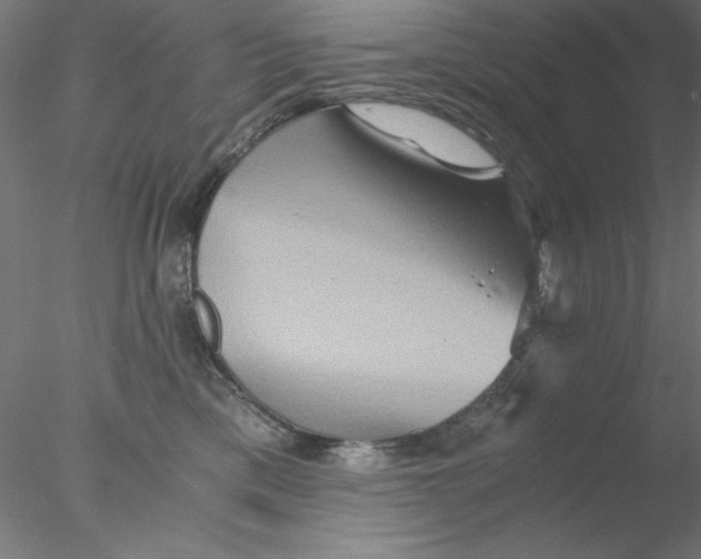 X0000076450425200611031936