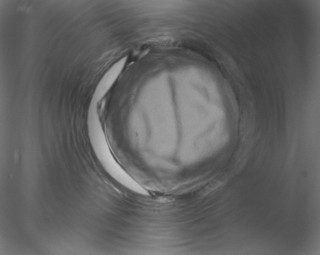 X0000076450432200611031936