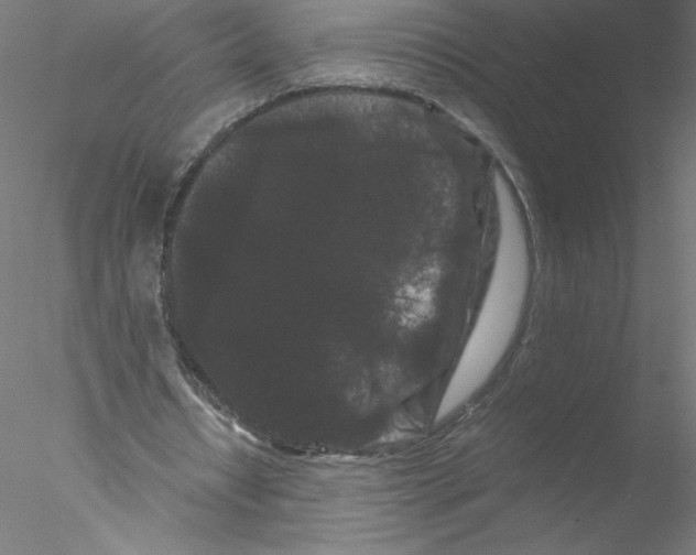X0000076450434200611031935