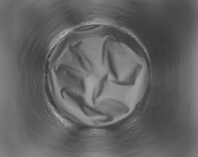 X0000076450437200611031935
